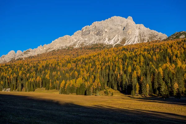 Осінній Пейзаж Регіоні Доломітові Альпи Італія Гори Ялин Перш Larches — стокове фото