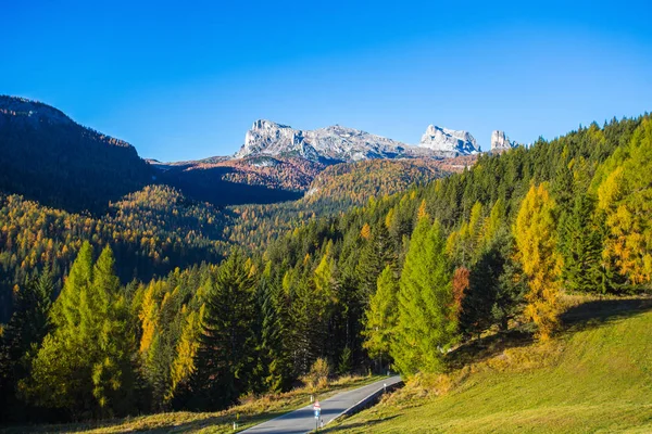 トッリ ファルザレゴから見た背景の山を渡すドロミテ イタリアの秋の風景の中の様子山 モミの木 とりわけからまつ類の典型的な黄色の秋の色を想定して色を変更します — ストック写真