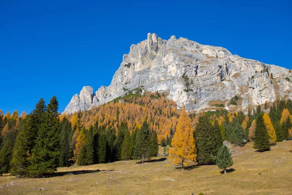 Pohled Hory Tofane Pozadí Průsmyku Passo Falzarego Podzimní Krajině Regionu — Stock fotografie