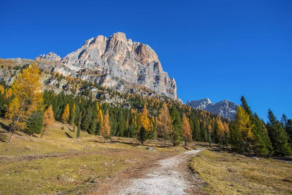 Widokiem Tofany Tle Widać Przełęczy Falzarego Jesień Krajobraz Regionie Dolomity — Zdjęcie stockowe