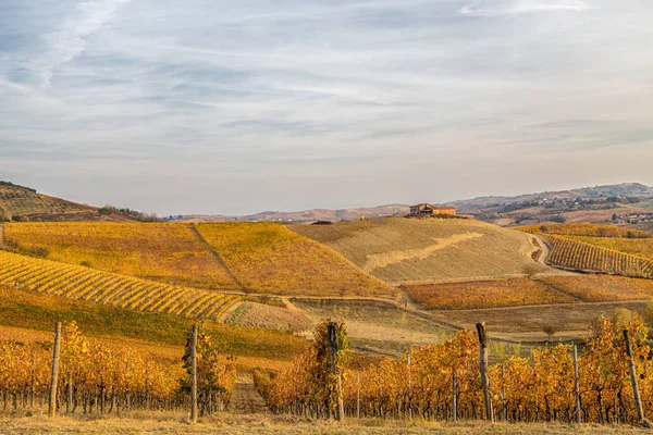 Colinas Vinhas Outono Piemonte Piemonte Itália — Fotografia de Stock