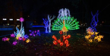 Genoa (Genoa), İtalya, 2 Ocak 2018 - ışıklı ve hayvanlar renkli Noel zamanda merkezi şehir, Genoa (Genova), İtalya.