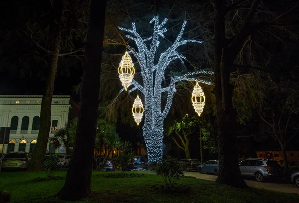 Árvore Iluminada Parque Público Época Natal Itália — Fotografia de Stock