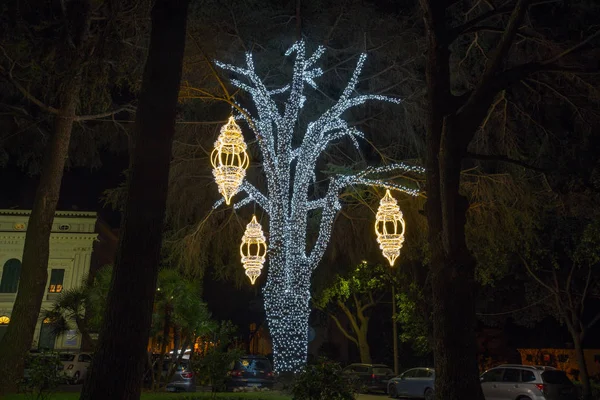Árvore Iluminada Parque Público Época Natal Itália — Fotografia de Stock