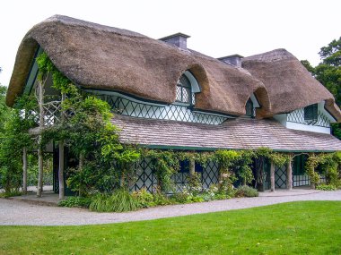 Çatı thatch ile İrlandalı geleneksel yazlık ev