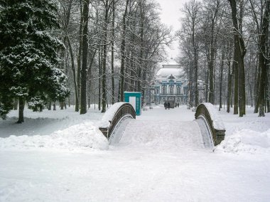 Catherine sarayda Tsarskoye Selo (Puşkin), Saint Petersburg, Rusya Federasyonu, kışın çevreleyen parkta.