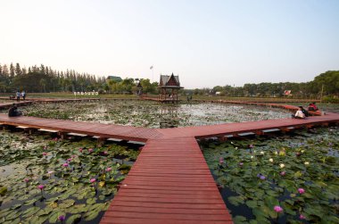 Sakon Nakhon, Tayland, 13 Şubat 2017 - Dubois Memorial Park, Sakon Nakhon Eyaleti, Tayland, Asya
