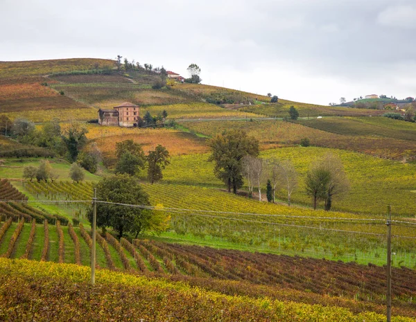Холмы Виноградников Осенью Пьемонте Италия — стоковое фото