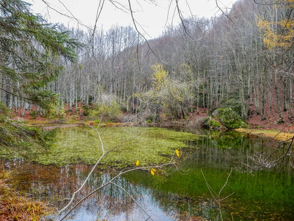 Autumnal Landscape Penna Lake Small Mountain Pond Penna Mount Aveto — Stock Photo, Image