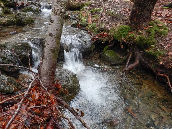 Höstigt Landskap Med Skog Bok Och Mountain Creek Penna Montera — Stockfoto