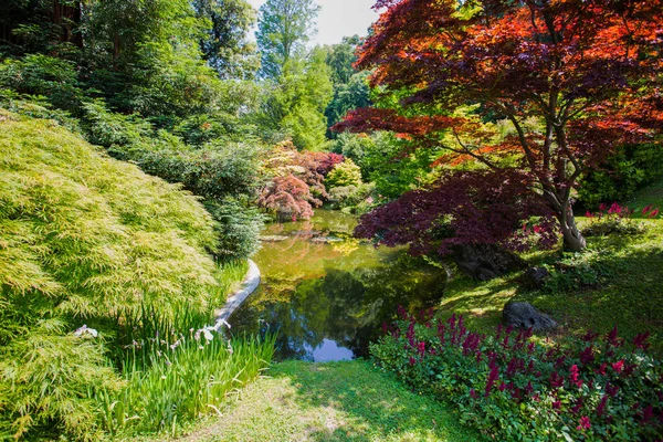 Vue Sur Les Jardins Villa Melzi Dans Village Bellagio Sur — Photo