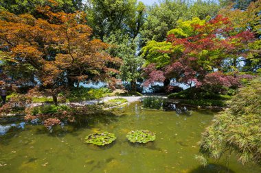 Bellagio, Italya, 19 Haziran 2019-Como Gölü, Italya Bellagio köyünde Villa Melzi bahçeleri görünümü