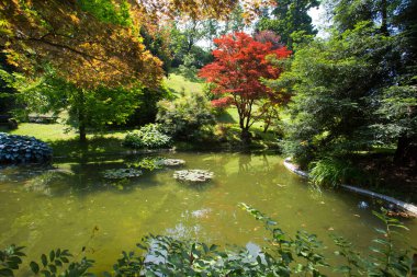 Como Gölü, Italya Bellagio köyünde Villa Melzi bahçeleri görünümü