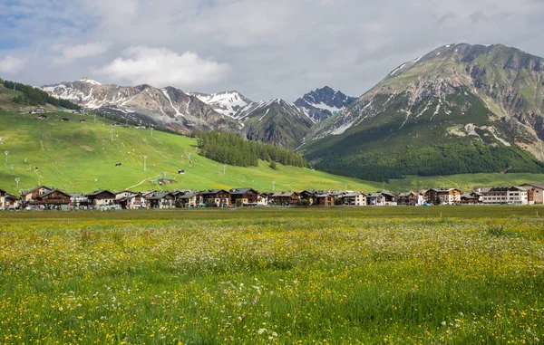 ロンバルディア州ソンドリオ州のイタリアの町リヴィニノの夏の景色とアルプスの有名な冬と夏の観光地 イタリア — ストック写真