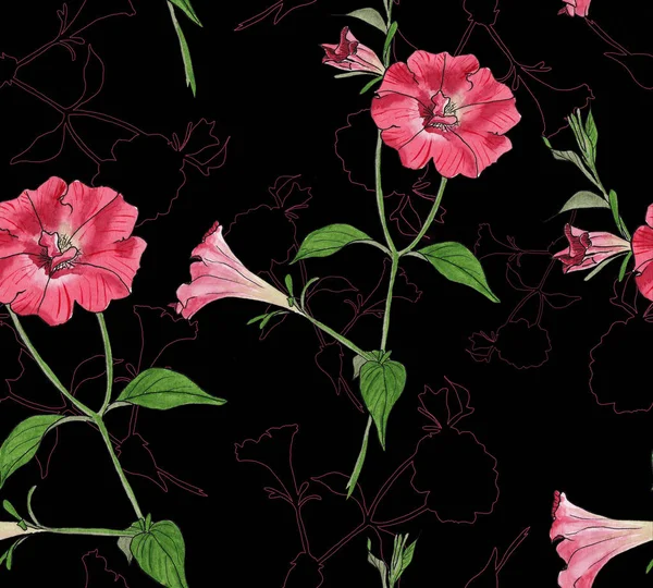 Blumenmuster Mit Petunien Auf Schwarzem Hintergrund — Stockfoto
