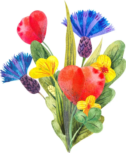 Composição aquarela com diferentes flores silvestres brilhantes — Fotografia de Stock
