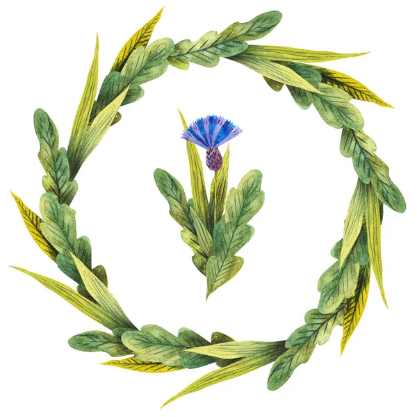 Corona de acuarela dibujada a mano hecha de flores silvestres de prado: acianos azules, hierbas silvestres aisladas en blanco . — Foto de Stock