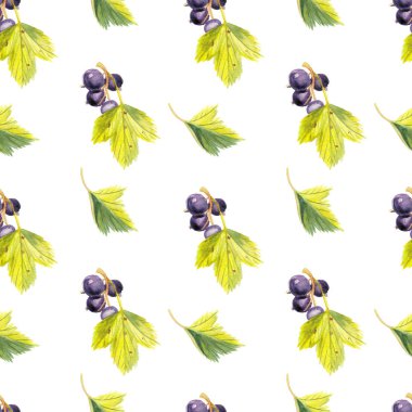 Siyah kuş üzümü ve leafes ile Seamless suluboya modeli