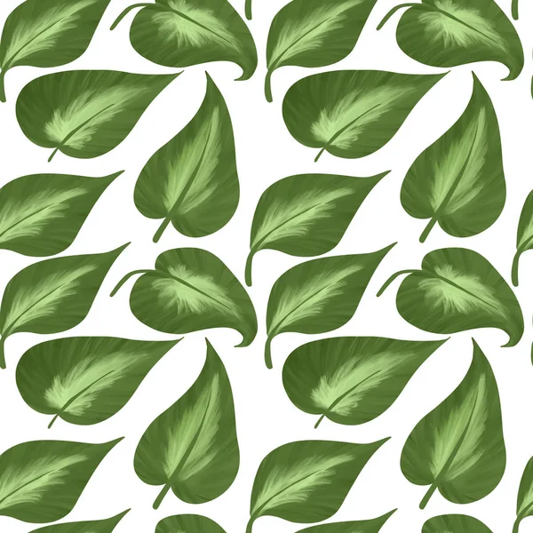 Nahtloses Muster Aus Großen Blättern Von Hostas Auf Weißem Hintergrund — Stockfoto