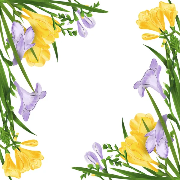Composición colorida con flores y brotes de freesia. Marco o borde sobre fondo blanco. La ilustración digital . — Foto de Stock