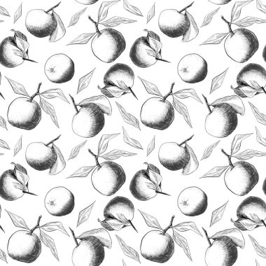Seamless modeli: mandalina ya da elma, benzersiz kalem çizimleri meyve ve güzel besteleri kombine yapraklar