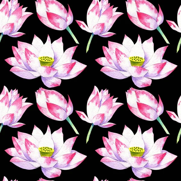 Flores y flores de loto acuarela patrón sin costura —  Fotos de Stock