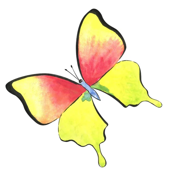 Insecte sauvage exotique papillon dans un style aquarelle isolé. Aquarelle insecte sauvage pour le fond, la texture, le motif d'emballage ou le tatouage . — Photo