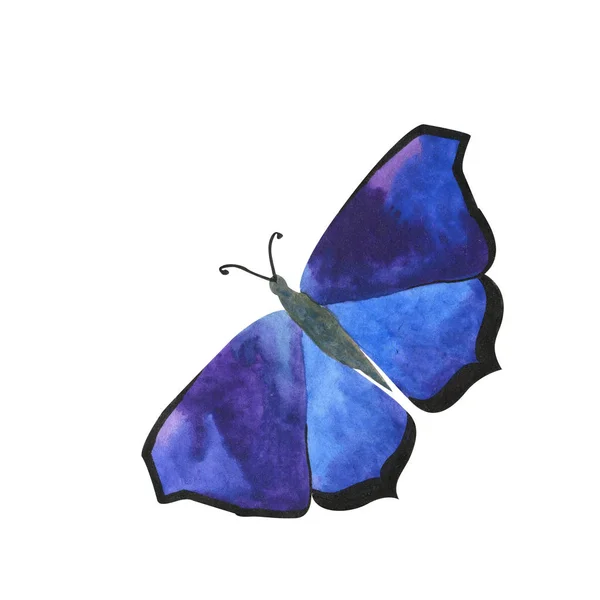 Insecte sauvage exotique papillon dans un style aquarelle isolé. Aquarelle insecte sauvage pour le fond, la texture, le motif d'emballage ou le tatouage . — Photo