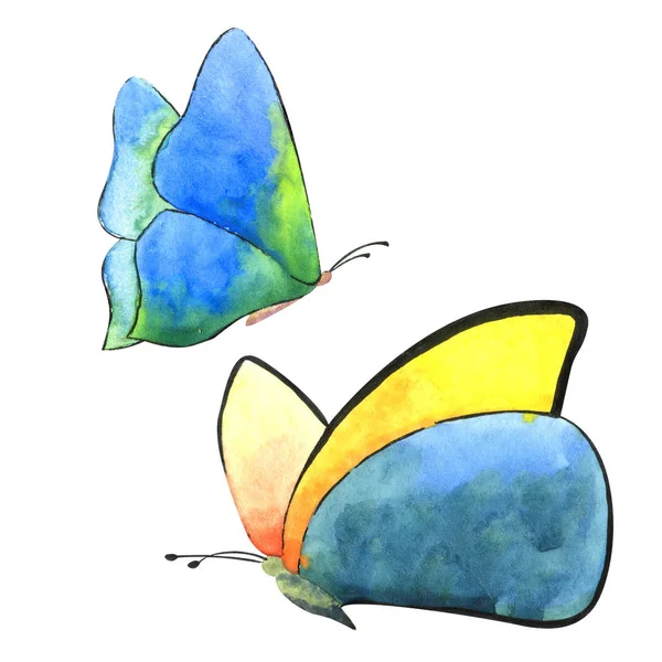 Insecte sauvage exotique papillon dans un style aquarelle isolé. Aquarelle insecte sauvage pour le fond, la texture, le motif d'emballage ou le tatouage . — Photo