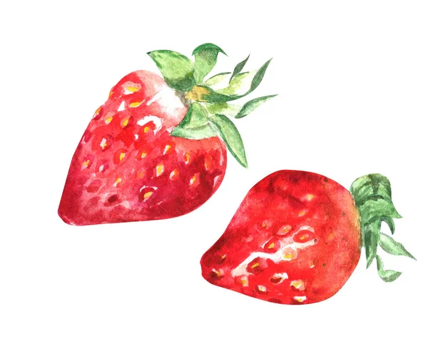 Illustration aquarelle colorée dessinée à la main isolée de fraise — Photo