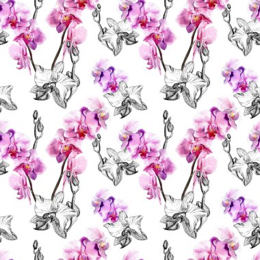 Beyaz arka planda el çizilmiş orkide ile Dikişsiz çiçek deseni