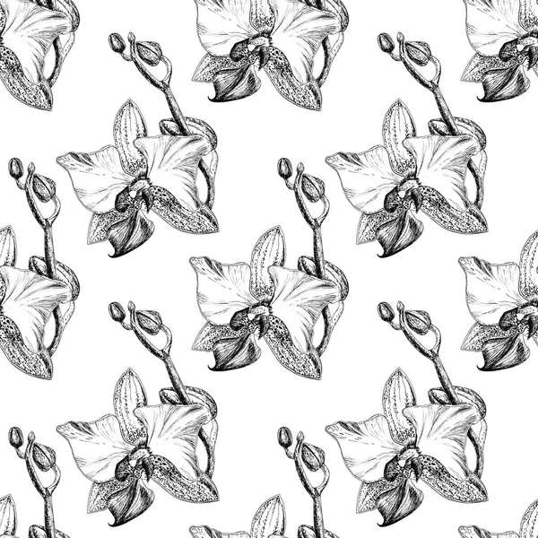 Seamless floral pattern with hand drawn orchids on white background — Stock Photo, Image