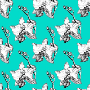 Turkuaz arka planda elle çizilmiş orkideile dikişsiz çiçek deseni