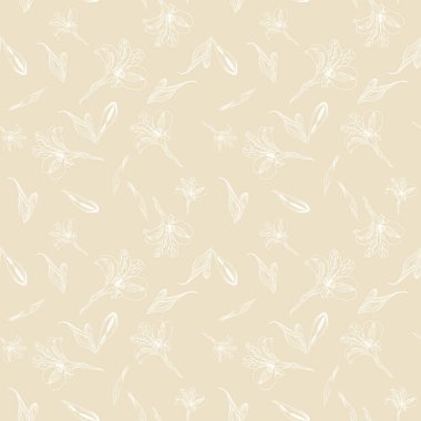 Dikişsiz çiçek deseni. Bej arka planda beyaz grafik çiçekler i Alstroemeria mı? Şeffaf elle çizilmiş bitkiler ile dikişsiz desen. Bitkisel Botanik illüstrasyon.