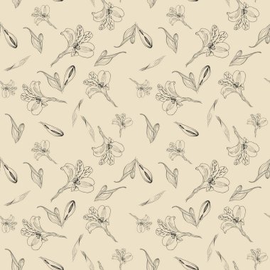 Dikişsiz çiçek deseni. Bej arka planda mürekkep grafik çiçekler i Alstroemeria mı? Şeffaf elle çizilmiş bitkiler ile dikişsiz desen. Bitkisel Botanik illüstrasyon.