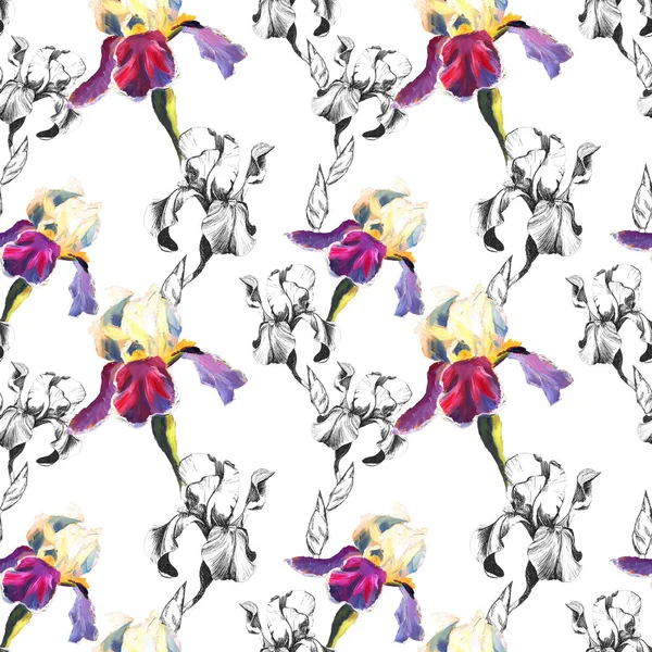 Floral seamless pattern with hand drawn ink and oil iris flowers on white background. Flowers lined up in harmonious uninhibited sequence — Stock Photo, Image