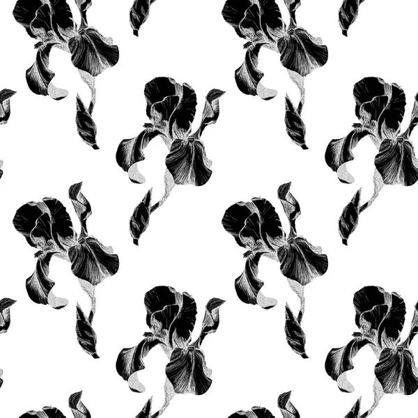 Floral seamless pattern with hand drawn ink iris flowers on white background. Flowers lined up in harmonious geometric sequence — Stock Photo, Image