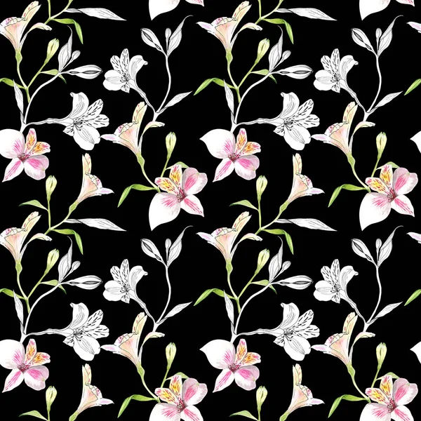 Seamless floral pattern. Pattern with watercolor and ink graphics flowers on black background. Alstroemeria. Seamless pattern with hand drawn plants. Herbal Botanical illustration. — Stock Photo, Image