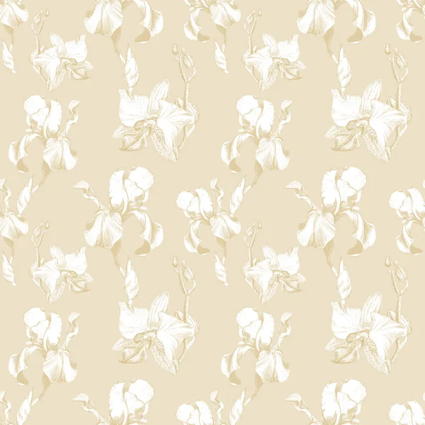 Motif floral sans couture avec iris d'encre dessiné à la main et fleurs d'orchidée sur fond beige. Fleurs alignées dans une séquence harmonieuse sans inhibition — Photo