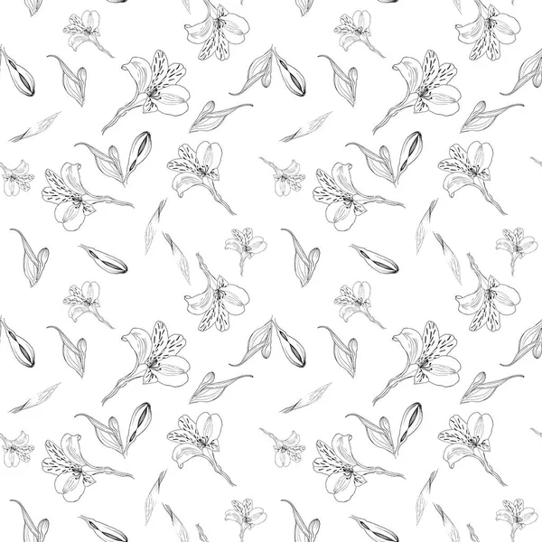 Bezproblémové květinové schéma. Vzorek s inkoustovou grafikou květiny na bílém pozadí. Alstroemerii. Bezešvé vzory s ručně kreslenou rostlinou. Bylinná Botanická ilustrace. — Stock fotografie