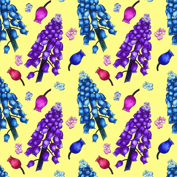 Padrão de ervas sem costura com aquarela flores de campo coloridas de muscari no fundo amarelo. Ornamento de grandes ramos e pequenos botões — Fotografia de Stock