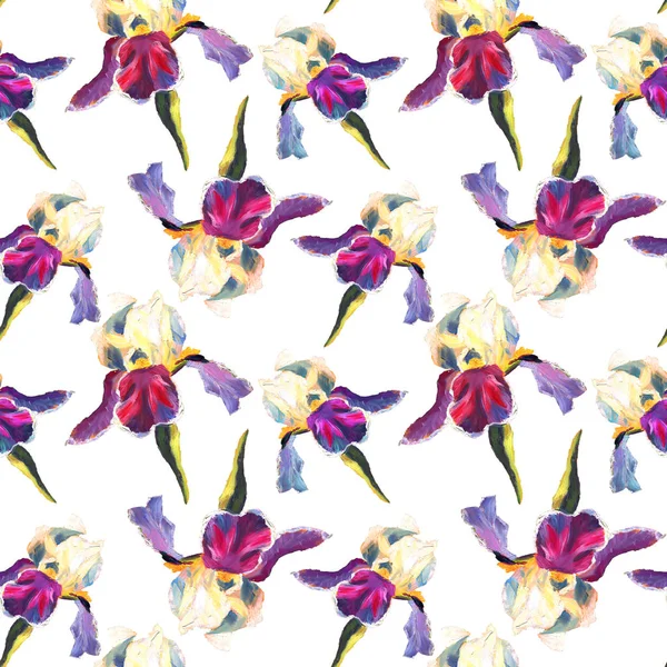 Motivo floreale senza cuciture con iris dipinti ad olio su sfondo bianco — Foto Stock