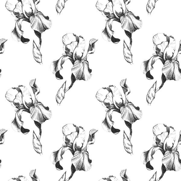 Floral seamless pattern with hand drawn ink iris flowers on white background. Flowers lined up in harmonious geometric sequence — Stock Photo, Image