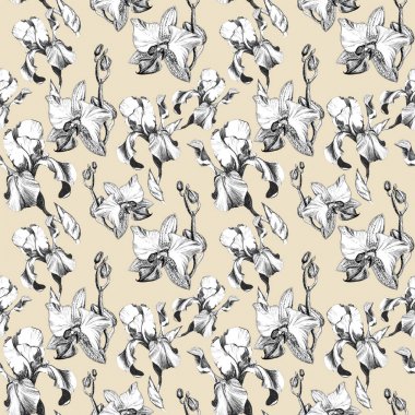 Bej arka planda el çizilmiş mürekkep iris ve orkide çiçekler ile Floral Dikişsiz desen. Çiçekler uyumlu Unin, sıralı dizilme