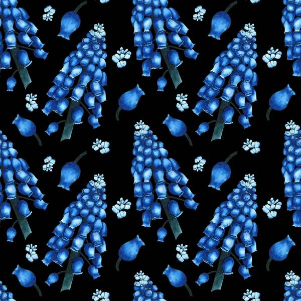 Padrão de ervas sem costura com aquarela flores campo azul de muscari no fundo preto. Ornamento de grandes ramos e pequenos botões — Fotografia de Stock