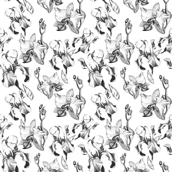 Floral seamless pattern with hand drawn ink iris and orchid flowers on white background. Flowers lined up in harmonious uninhibited sequence — Stock Photo, Image