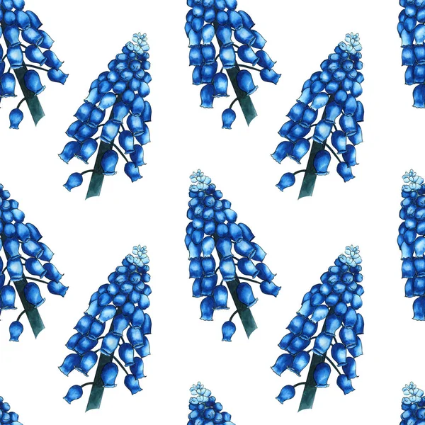 Seamless herbal pattern with watercolor blue field flowers of muscari on white background. Ornament of large branches — Stock Photo, Image