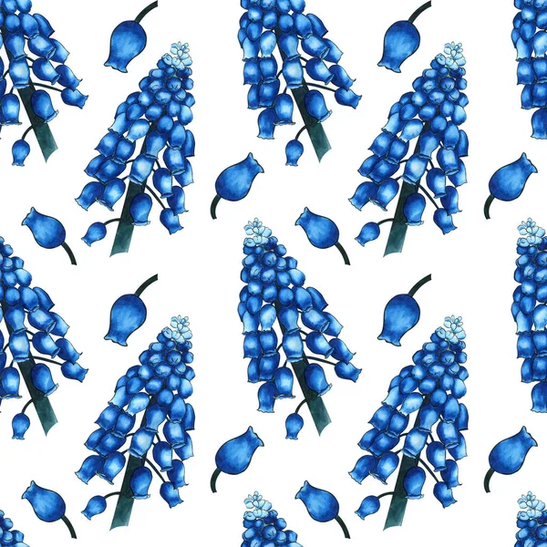 Padrão de ervas sem costura com aquarela flores campo azul de muscari no fundo branco. Ornamento de grandes ramos e pequenos botões — Fotografia de Stock