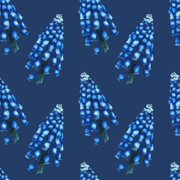 Modèle à base de plantes sans couture avec aquarelle fleurs de champ bleu de muscari sur fond de nuit perle. Ornement de grandes branches — Photo