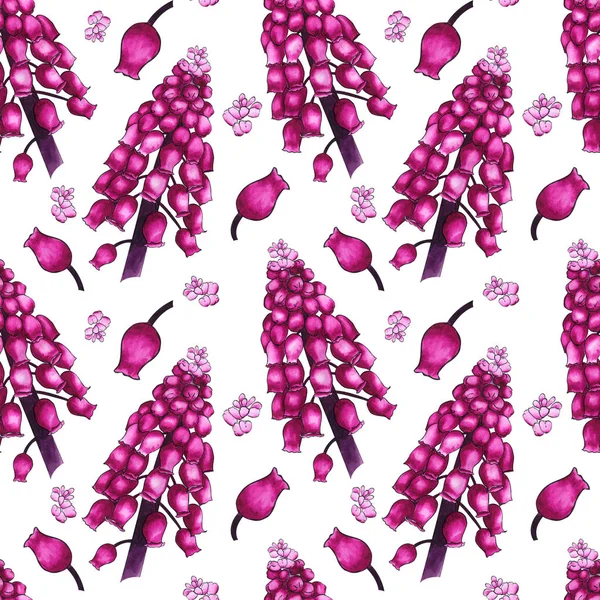 Безшовний трав'яний візерунок з акварельними рожевими польовими квітами мускарі на білому тлі. Орнамент великих гілок і дрібних бутонів — стокове фото